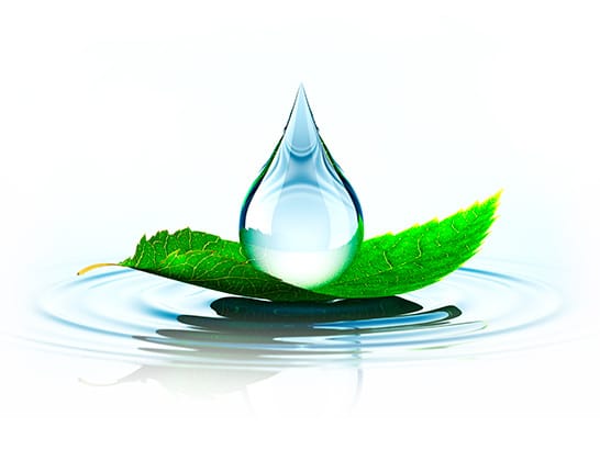 Serpa – Spécialiste de l’assainissement Serpa - Spécialiste de l'assainissement